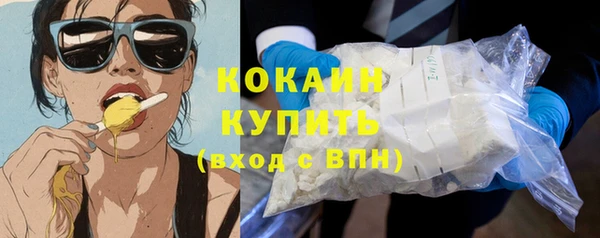 меф Ельня
