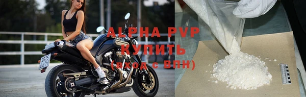 амф Заволжье