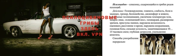 меф Ельня