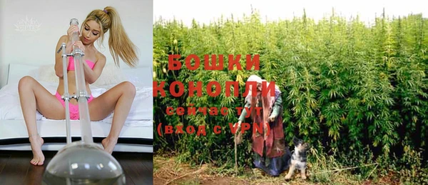 прущие крисы Заводоуковск