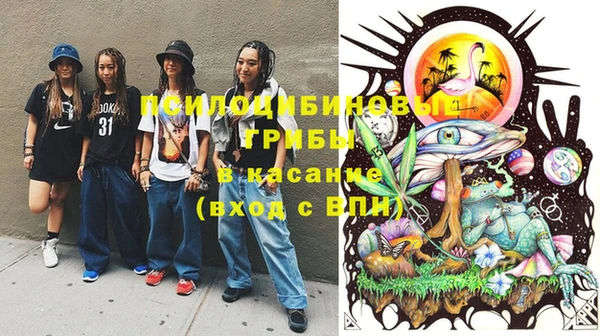 меф Ельня