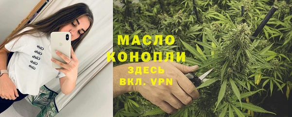 меф Ельня