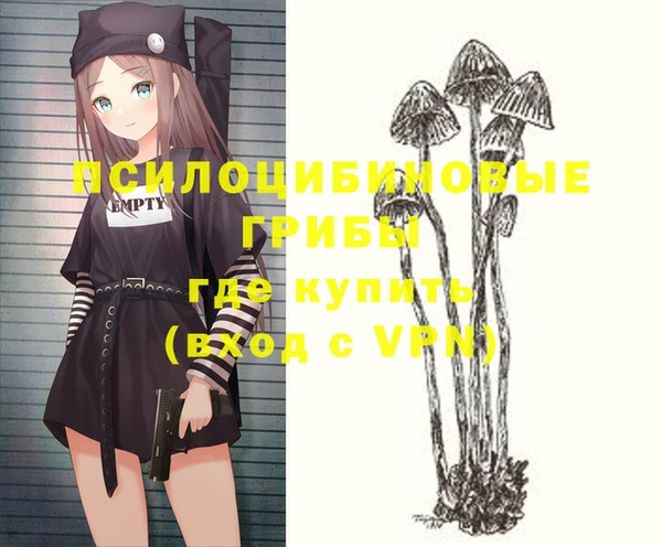 спиды Елизово