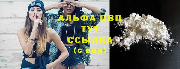 меф Ельня