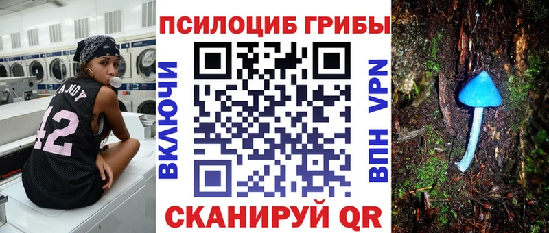 где найти наркотики  Сланцы  Галлюциногенные грибы прущие грибы 