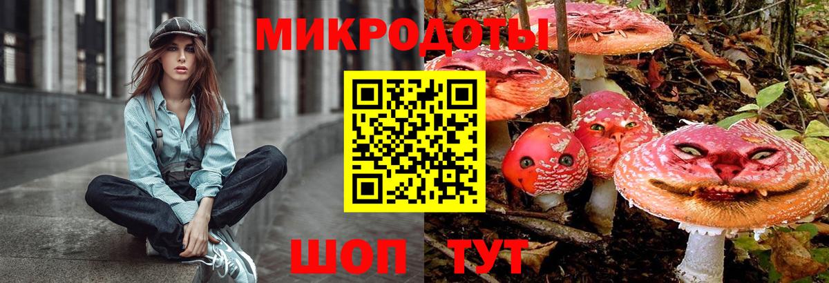 Галлюциногенные грибы Cubensis Сланцы