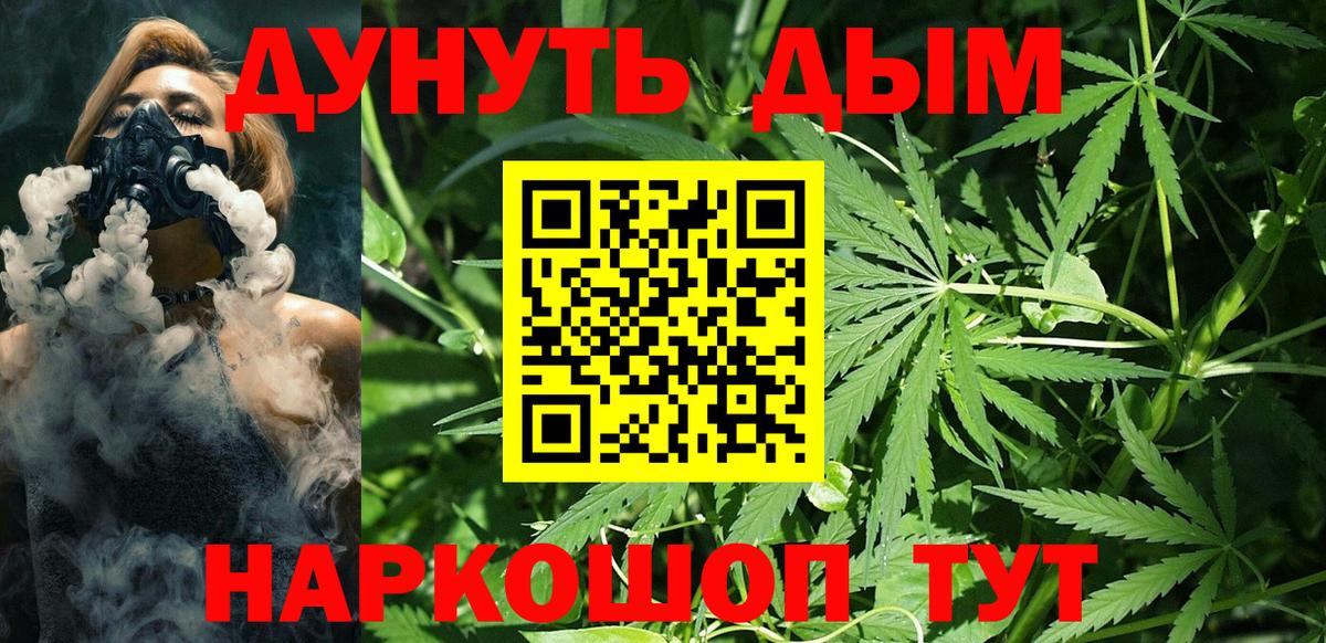 Конопля план Сланцы